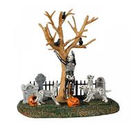 In The Wrong Graveyard Cod. 23584