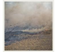 In The Yellow Leaf - Brass Bed (Vinile)