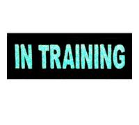 In Training Service Animal Nel servizio di addestramento animale Gilet/imbracature Emblema con Fissaggio Chiusura a uncino e asola Ricamata Brilla Nel Buio Toppa