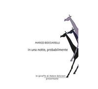 In una notte, probabilmente