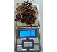 in vendita semi 1 grammo garofani india bolero mescolare coltivazione in processo biologico nei nostri giardini