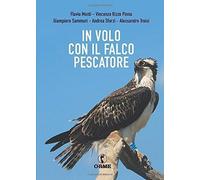 In volo con il falco pescatore [Paperback] [Jun 08, 2020] Monti, Flavio; Troisi,