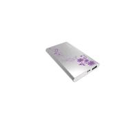 IN WIN ALLURE POWER BANK 5000MAH 5V/2A 1 X MICRO USB 1 X USB TIPO A SILVER VIOLA