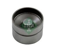 INA 420 0040 10 Punteria idraulica