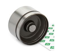 INA 420 0042 10 Punteria idraulica