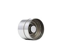 INA 420 0043 10 Punteria idraulica per VW Golf IV Schrägheck (1J1) GOLF VI (5K1)