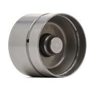 INA 420 0049 10 Punteria idraulica per BMW 3 Limousine (E46) 5 Limousine (E60)