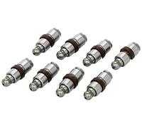 INA 420 0087 10 Punteria idraulica per VW Touareg (7LA, 7L6, 7L7) PASSAT (3B3)
