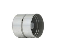 INA 420 0106 10 Punteria idraulica per RENAULT CLIO II (BB0/1/2, CB0/1/2)