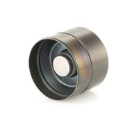 INA 420 0209 10 Punteria idraulica