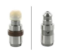 INA 420 0226 10 Punteria idraulica