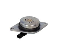 INA 427 0018 10 Blocco Motore