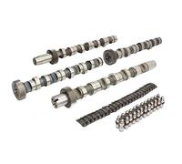 Kit albero a camme 428 0038 30 INA per AUDI VW SKODA