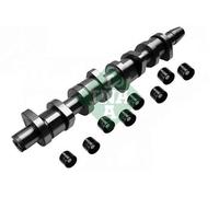 Kit albero a camme 428 0039 30 INA per VW AUDI SEAT SKODA
