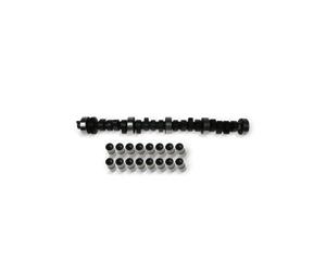 INA 428 0039 30 Kit albero a camme