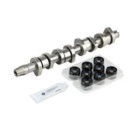 Kit albero a camme 428 0042 30 INA per FORD SEAT VW SKODA AUDI