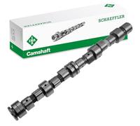 INA 428 0058 10 Albero a camme