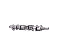 INA 428 0110 10 - Albero a camme