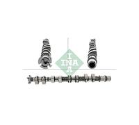INA 428 0176 10 Albero a camme