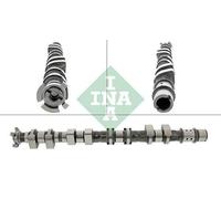 INA 428 0176 10 Albero a camme