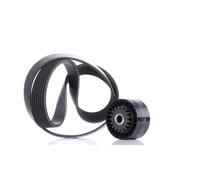 INA 529 0016 10 Kit Cinghie Poly-V per RENAULT TWINGO II (CN0) Wind Cabrio