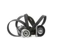 INA 529 0043 20 Kit Cinghie Poly-V