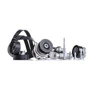 Pompa dell'acqua + set di cinghie a V INA 529 0053 30