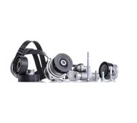 INA 529 0053 30 Pompa acqua + Kit cinghia Poly V per BMW 3 Sedan (E46) 5 Sedan