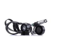 INA 529 0075 10 Kit Cinghie Poly-V