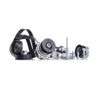 INA 529 0081 31 Pompa acqua + Kit cinghia Poly V