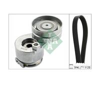 INA 529 0088 10 Kit Cinghia Poly V Per Renault Megane II