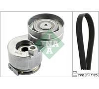 INA 529 0088 10 Kit Cinghie Poly-V