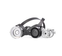 Set di cinghie Poly-V INA 529 0090 10