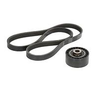 INA 529 0100 10 Cinghia di Distribuzione