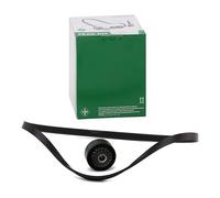 INA 529 0100 10 Kit Cinghie Poly-V