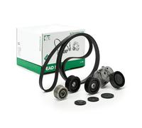 Set di cinghie Poly-V INA 529 0115 20