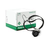 INA 529 0117 10 Kit Cinghie Poly-V per RENAULT Clio IV Schrägheck (BH)