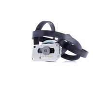 INA 529 0216 10 Kit Cinghie Poly-V