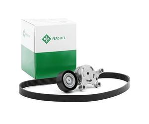 INA 529 0261 10 Kit Cinghie Poly-V