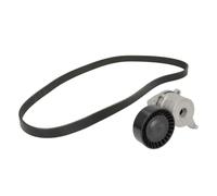 Ina 529 0262 10 Cinghia di Distribuzione