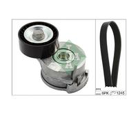 INA 529 0291 10 Kit Cinghia A Coste Per Citroën C4 II Peugeot 308 I