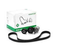 Set di cinghie Poly-V INA 529 0313 10