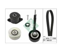 INA Kit Cinghie Poly-V 529031410