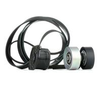 INA Kit Cinghie Poly-V 529031410