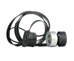 INA 529 0314 10 Kit Cinghie Poly-V