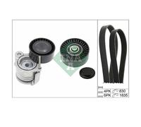 Set di cinghie Poly-V INA 529 0359 10