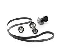 INA 529 0361 10 Kit Cinghie Poly-V