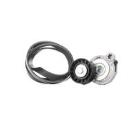 INA 529 0375 10 Kit Cinghie Poly-V