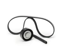 INA 529 0415 10 Kit Cinghie Poly-V