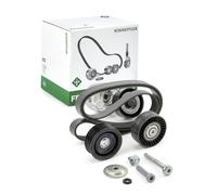 INA Set di cinghie Poly-V 529 0417 10 - Kit multirighe per Lancia Musa 1.6 (2008-2012)